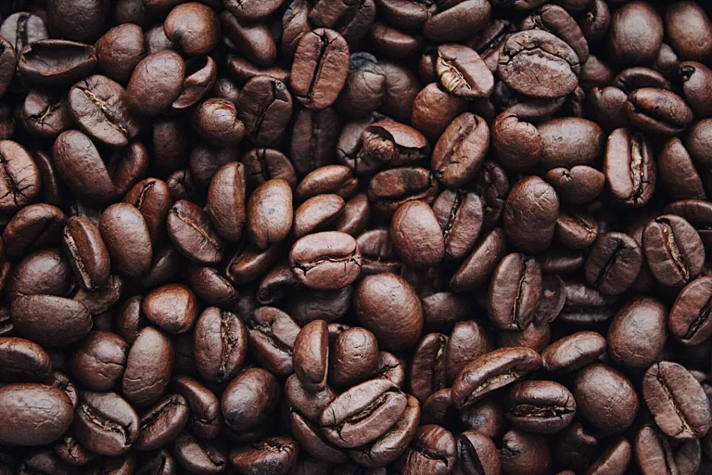 Close up of coffee beans