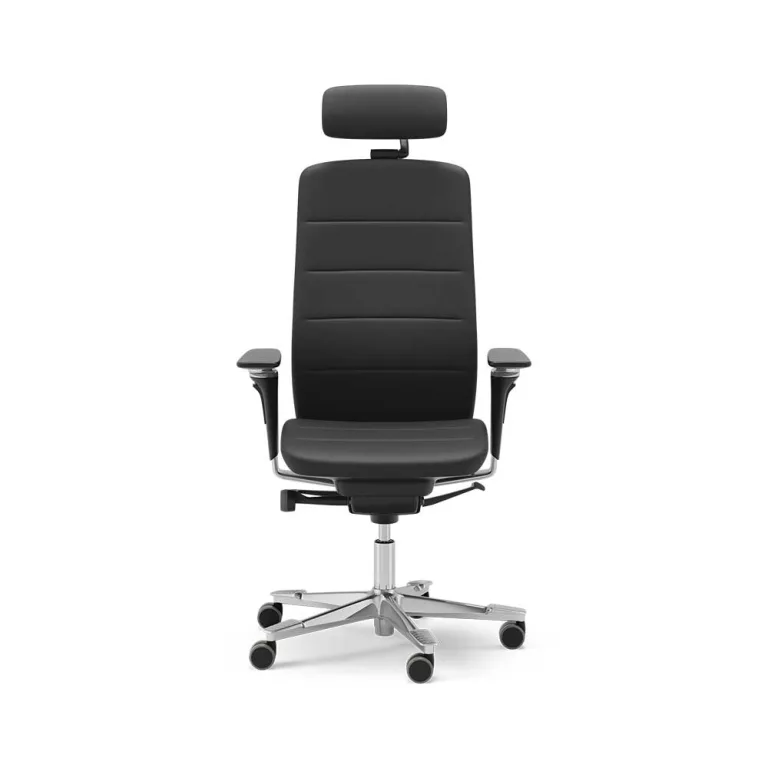 Kinnarps Capella chair