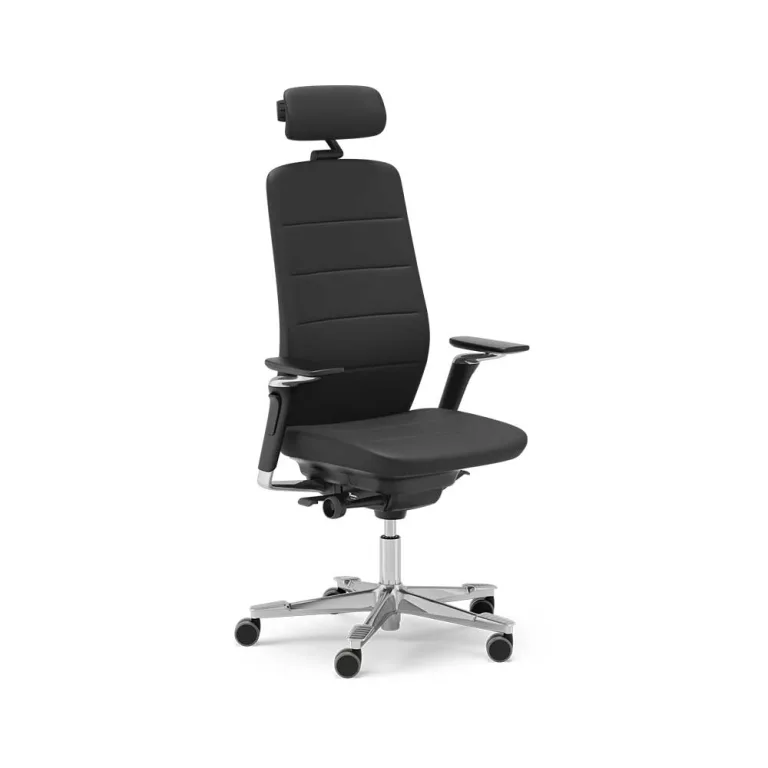 Kinnarps Capella chair