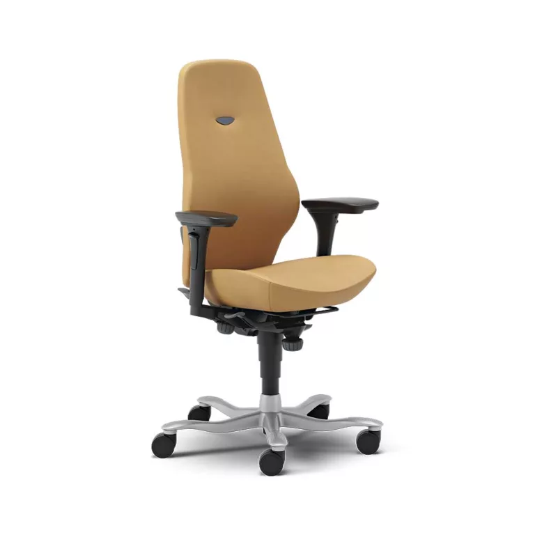Kinnarps Plus chair